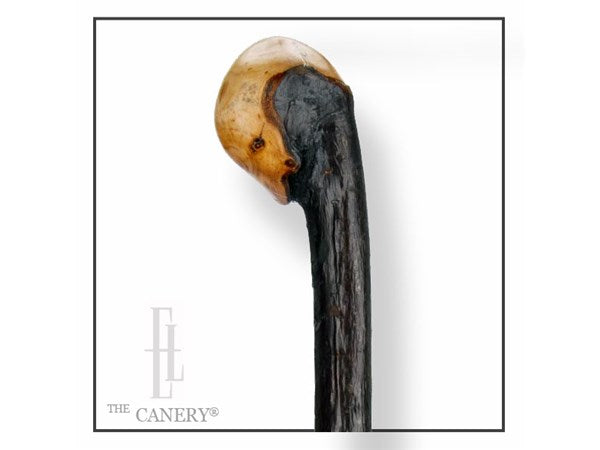 Genuine Blackthorn Knobstick