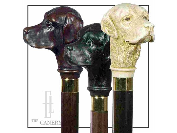 Labrador Walking Stick