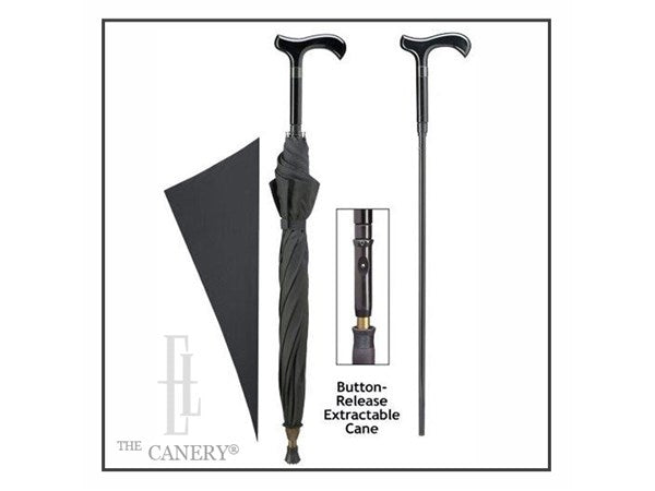 Umbrella Cane Combo