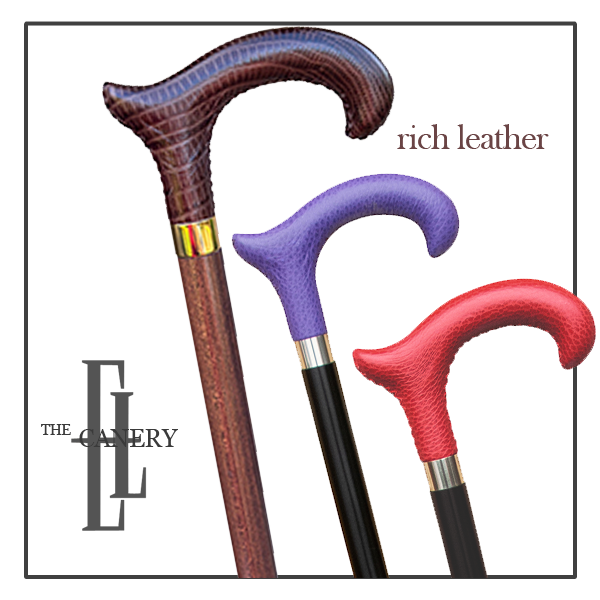 British Derby Cane in rich leather
