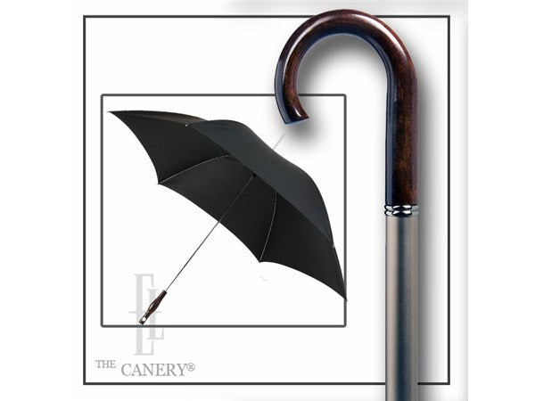 Wander the Umbrella Walking Cane
