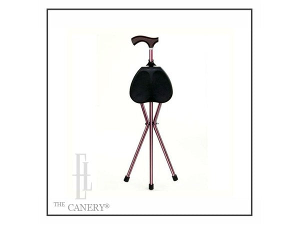 Kensington Seat Cane by Switch Sticks