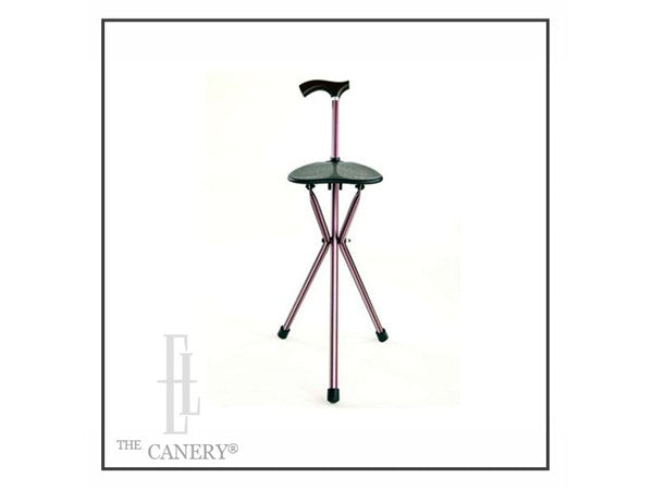 Kensington Seat Cane by Switch Sticks