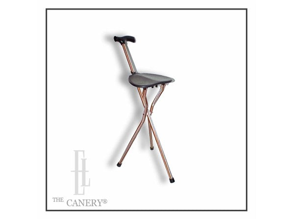 Kensington Seat Cane by Switch Sticks
