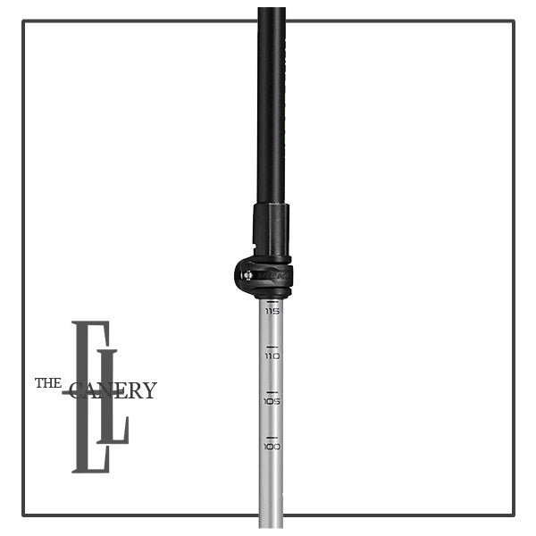 Traveller Alu Nordic Walking sticks (pair) by Leki