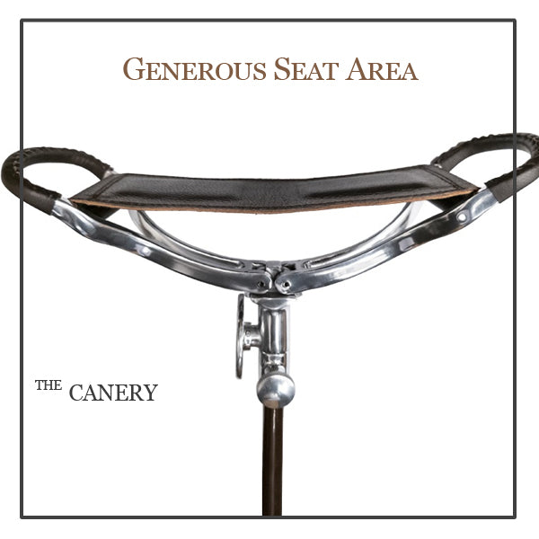 Promenade Folding Seat Stick